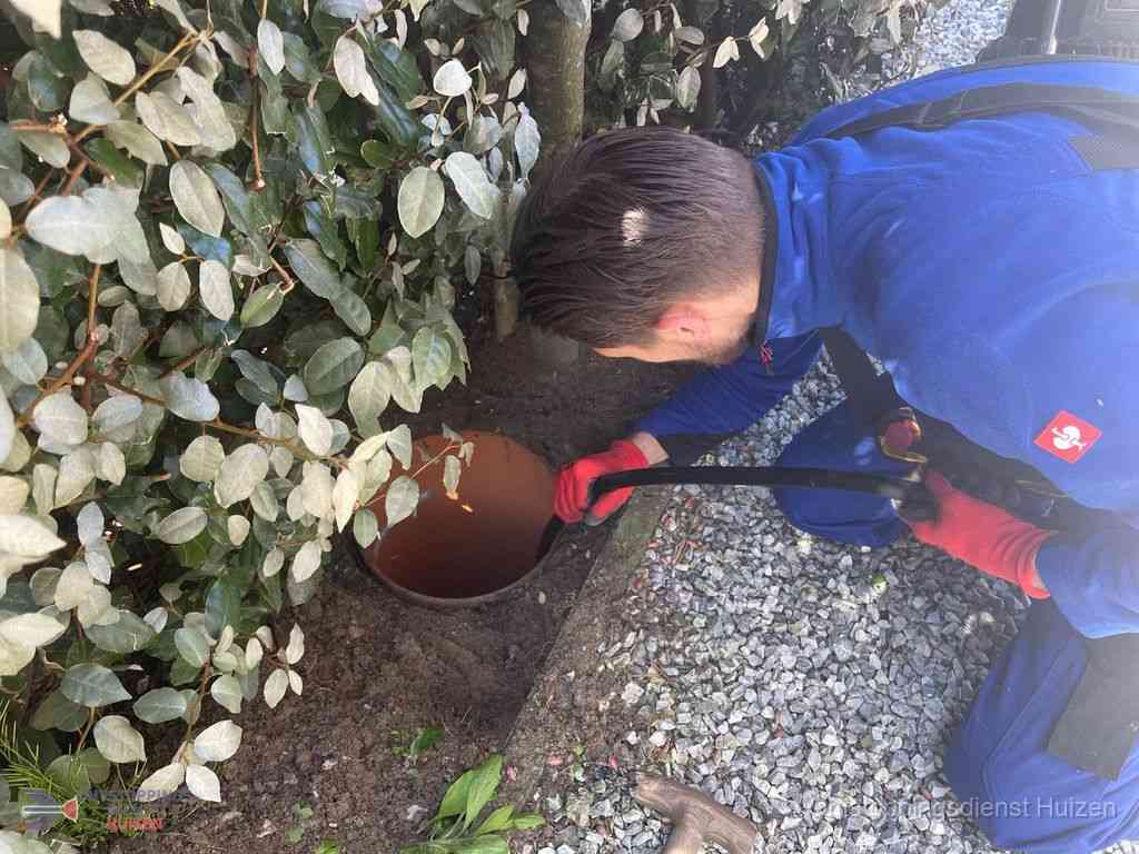 Rioolvliegjes Huizen Rioolvliegjes Huizen